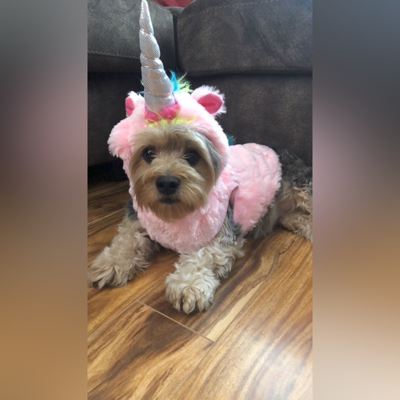 Meet your Posher, Michelle - Picture 7 of 7